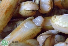 蟶子是海鮮嗎？蟶子是海鮮還是河鮮