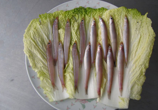 青島面條魚是什么魚？青島面條魚叫什么