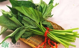 苕尖怎么炒？苕尖的做法