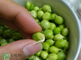 新鮮豌豆發(fā)芽了能吃嗎？豌豆發(fā)芽了還能吃嗎？