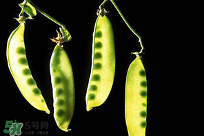 嫩豌豆能生吃嗎？為什么嫩豌豆可以生吃？