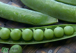 剝好的豌豆怎么保存？剝好的豌豆米怎么保存？