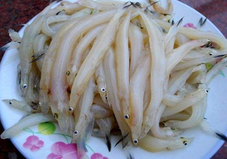 面條魚(yú)如何保存？面條魚(yú)怎么保存