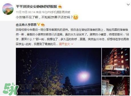 李思思二胎生了什么？李思思二胎男孩還是女孩