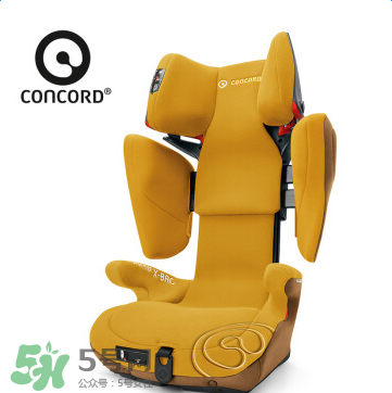 concord中文是什么？concord的中文名字怎么翻譯？