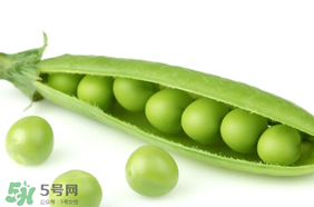生豌豆有毒嗎？豌豆生吃有毒嗎？