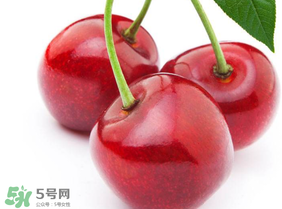 新鮮櫻桃如何保存？新鮮櫻桃能放多久？