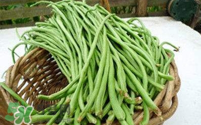 缸豆是豆角嗎？缸豆和豆角有什么區(qū)別