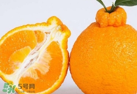 丑八怪水果多少錢(qián)一斤？不知火雜柑一斤多少錢(qián)