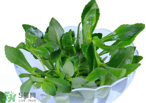 救心菜有毒嗎？救心菜怎么吃沒(méi)毒？