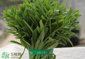 救心菜有毒嗎？救心菜怎么吃沒(méi)毒？