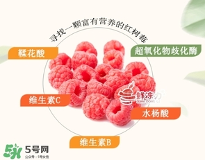 樹莓可以生吃嗎？樹莓怎么吃？