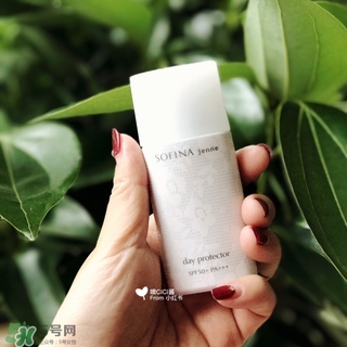 蘇菲娜白蕾絲多少錢？蘇菲娜白蕾絲日本價格