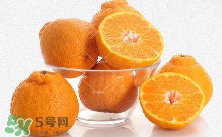丑八怪水果多少錢(qián)一斤？不知火雜柑一斤多少錢(qián)