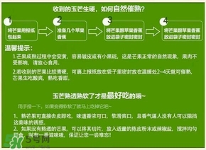 貴妃芒果硬的能吃嗎？貴妃芒果青的能吃嗎