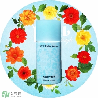 蘇菲娜藍(lán)蕾絲和藍(lán)小花哪個(gè)好？蘇菲娜藍(lán)蕾絲和藍(lán)小花對(duì)比