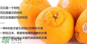 丑八怪水果多少錢(qián)一斤？不知火雜柑一斤多少錢(qián)
