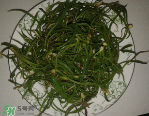 陽溝菜孕婦可以吃嗎？孕婦能吃陽溝菜嗎？
