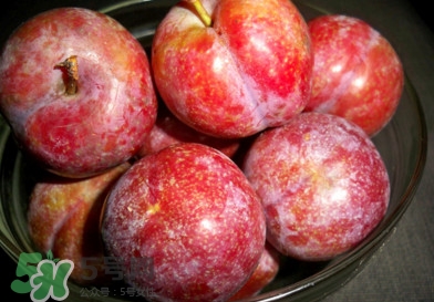 三華李孕婦可以吃嗎？三華李孕婦能吃嗎