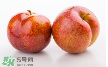 三華李孕婦可以吃嗎？三華李孕婦能吃嗎