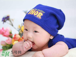 寶寶可以吃小龍蝦嗎？多大的寶寶可以吃小龍蝦呢？