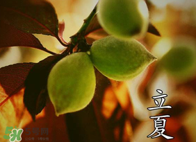 立夏吃什么水果？立夏吃什么水果好？