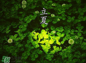 立夏吃什么水果？立夏吃什么水果好？
