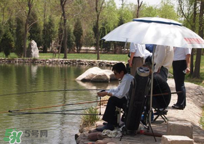 立夏好釣魚嗎？立夏怎么釣魚？