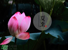 立夏和夏至有什么區(qū)別？立夏和夏至的區(qū)別