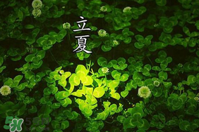 立夏和夏至有什么區(qū)別？立夏和夏至的區(qū)別