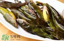 黃辣丁怎么殺？黃辣丁怎么處理