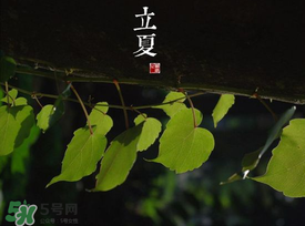 2017年立夏會(huì)下雨嗎？2017年立夏下雨好嗎？