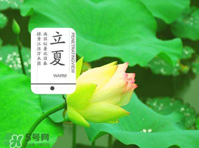 2017年立夏會(huì)下雨嗎？2017年立夏下雨好嗎？