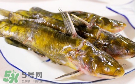嘎魚怎么做最好吃？嘎魚的做法大全