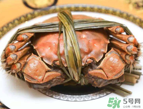 五月份有大閘蟹嗎？五月份的大閘蟹能吃嗎？
