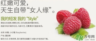 樹莓可以放冰箱嗎？樹莓可以保存幾天