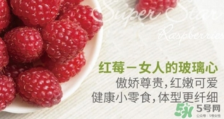 樹莓可以放冰箱嗎？樹莓可以保存幾天