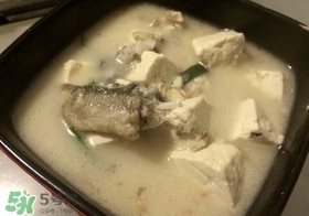 黑魚能和豆腐一起吃嗎？豆腐可以和黑魚一起吃嗎