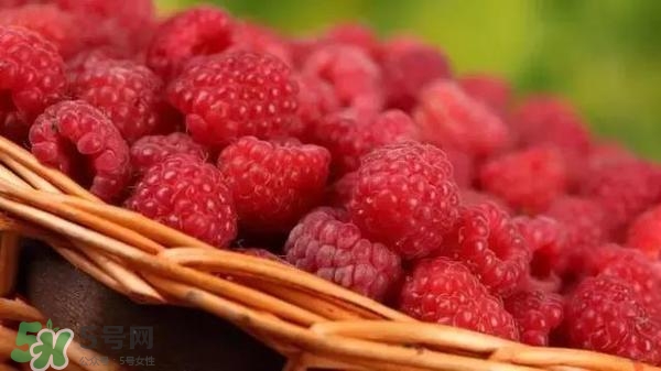 樹莓可以直接吃嗎？樹莓里的小籽能吃嗎？