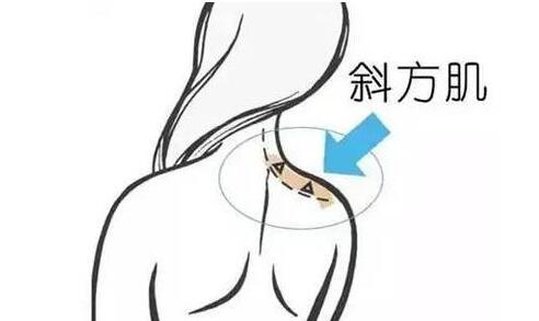 天鵝頸是什么樣的？天鵝頸怎么練？