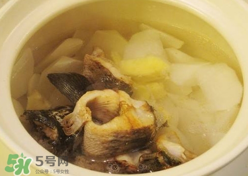 黑魚能和蘿卜一起吃嗎？黑魚能和胡蘿卜同食嗎