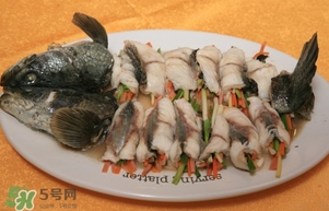 生魚是什么魚？生魚片是什么魚