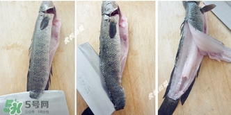 黑魚怎么切片？黑魚如何切魚片