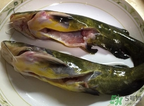 嘎魚是鯰魚嗎？嘎魚是黃辣丁嗎