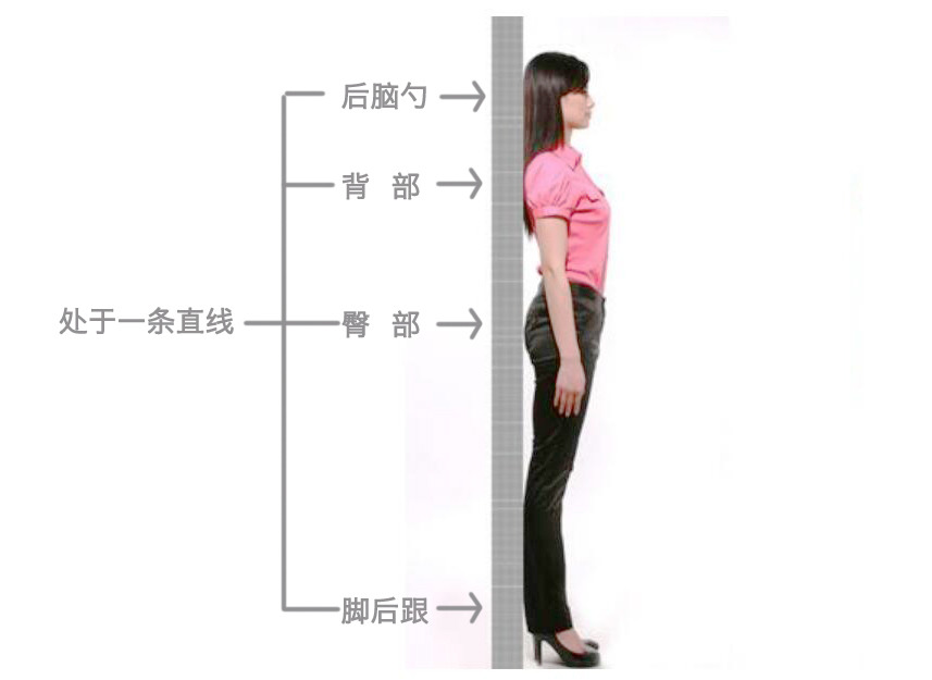 天鵝頸是什么樣的？天鵝頸怎么練？