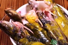 嘎魚是鯰魚嗎？嘎魚是黃辣丁嗎