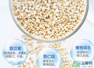 薏仁水可以天天敷嗎？薏仁水幾天敷一次？