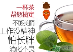 脂流茶成分 脂流茶可以減肥嗎？