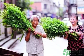 端午節(jié)為什么掛艾草？端午節(jié)掛艾草的由來(lái)
