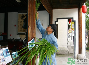 端午節(jié)門(mén)上掛的那個(gè)草叫什么？端午節(jié)掛門(mén)上的叫什么？